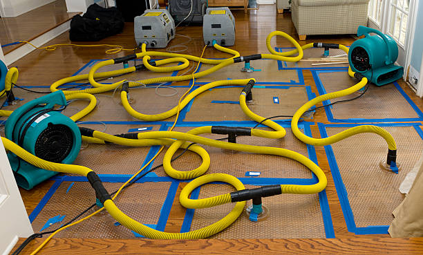 Professional Water Extraction technician working in Wilsonville, AL